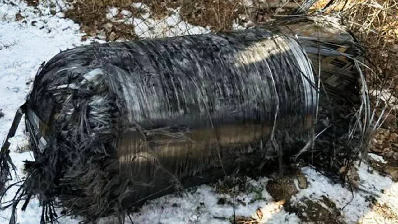 Ракета Илона Маска упала во двор к удивленному поляку