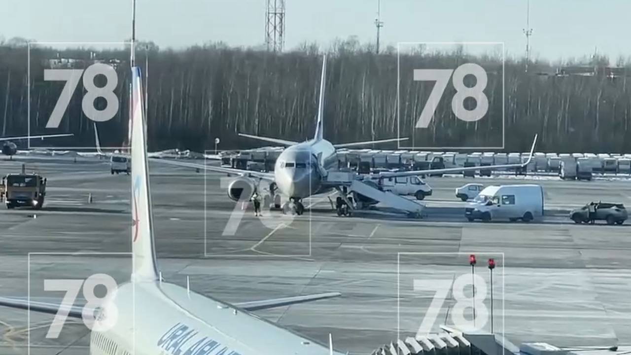 Пассажир описал аварийную посадку самолета в Петербурге словами «двигатель слегка дымился»