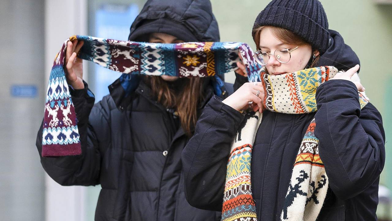 Жителей Московской области предупредили о 20-градусных морозах