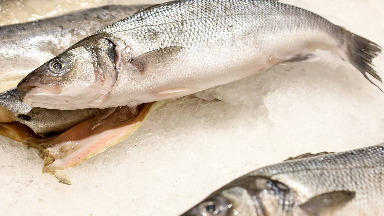 Россиян предупредили о подорожании рыбы