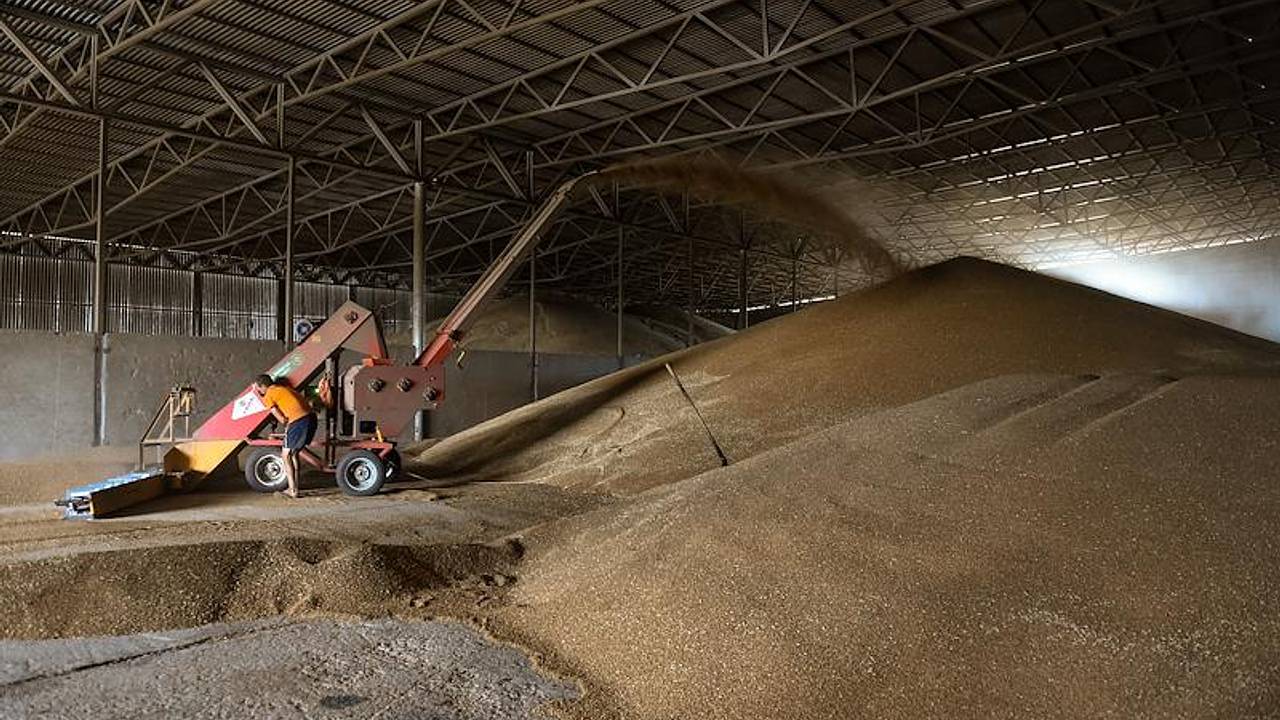 Экспортные цены на российскую пшеницу заметно выросли