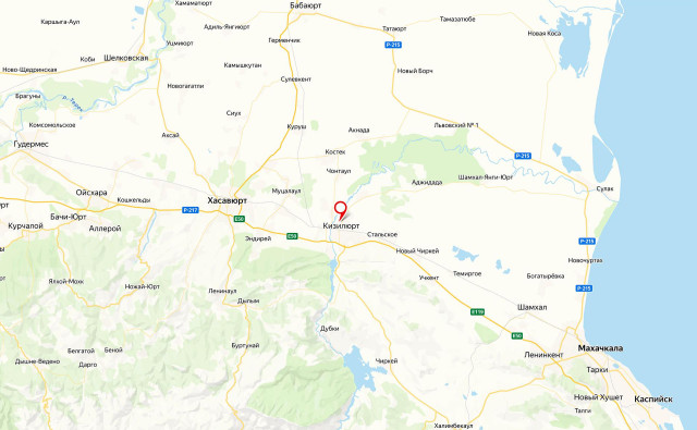В Дагестане завели дело против державших на цепи девушку родственников