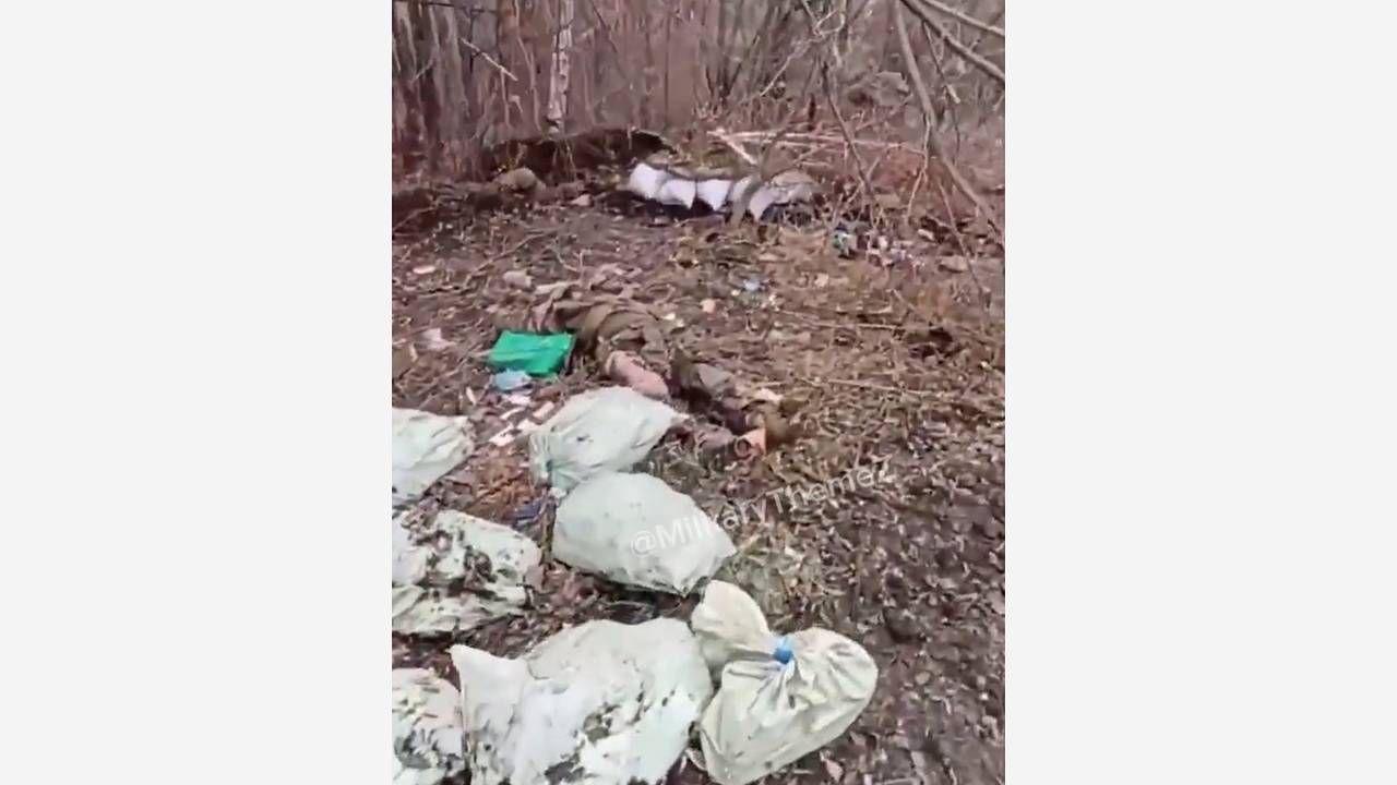 Тела зашедших в Курскую область солдат ВСУ сняли на видео