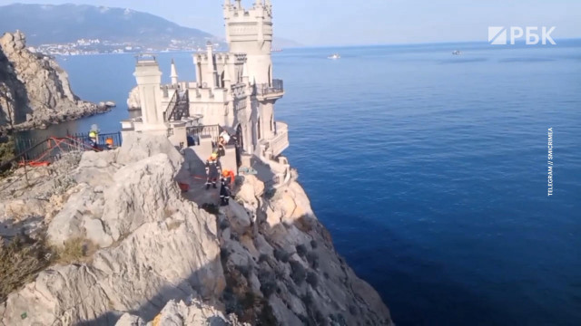 Появилось видео со спасенной кошкой Мусей в Ялте
