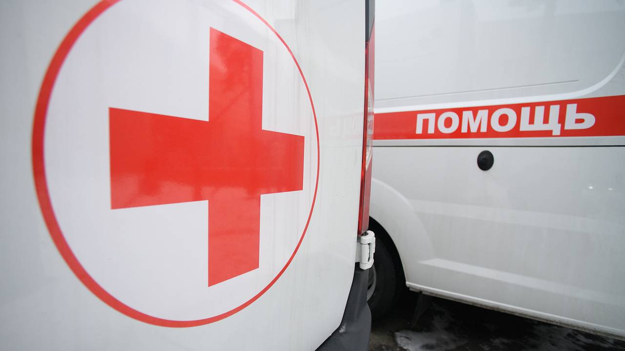 В российском регионе стая бездомных собак напала на пенсионерку