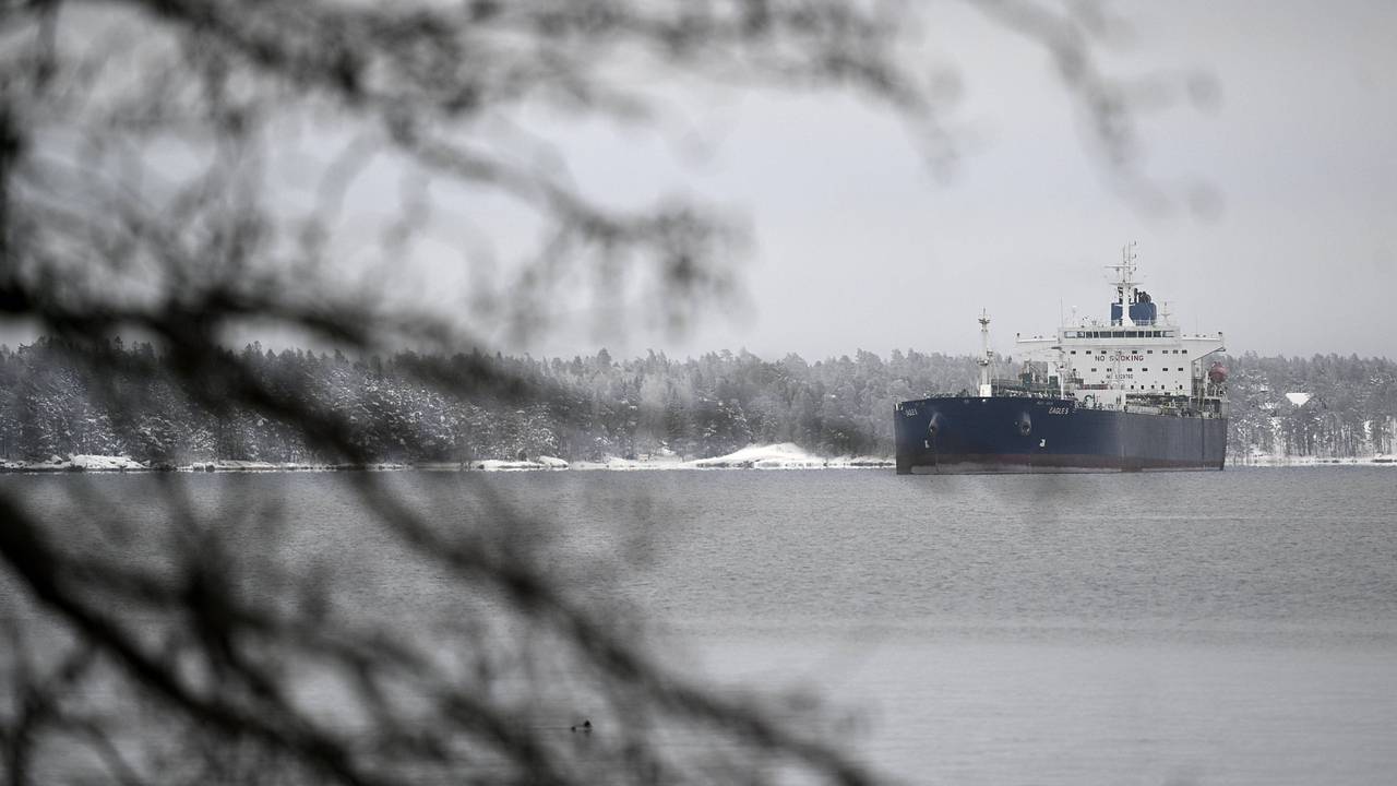 Росприроднадзор опроверг данные о загрязнении Финского залива