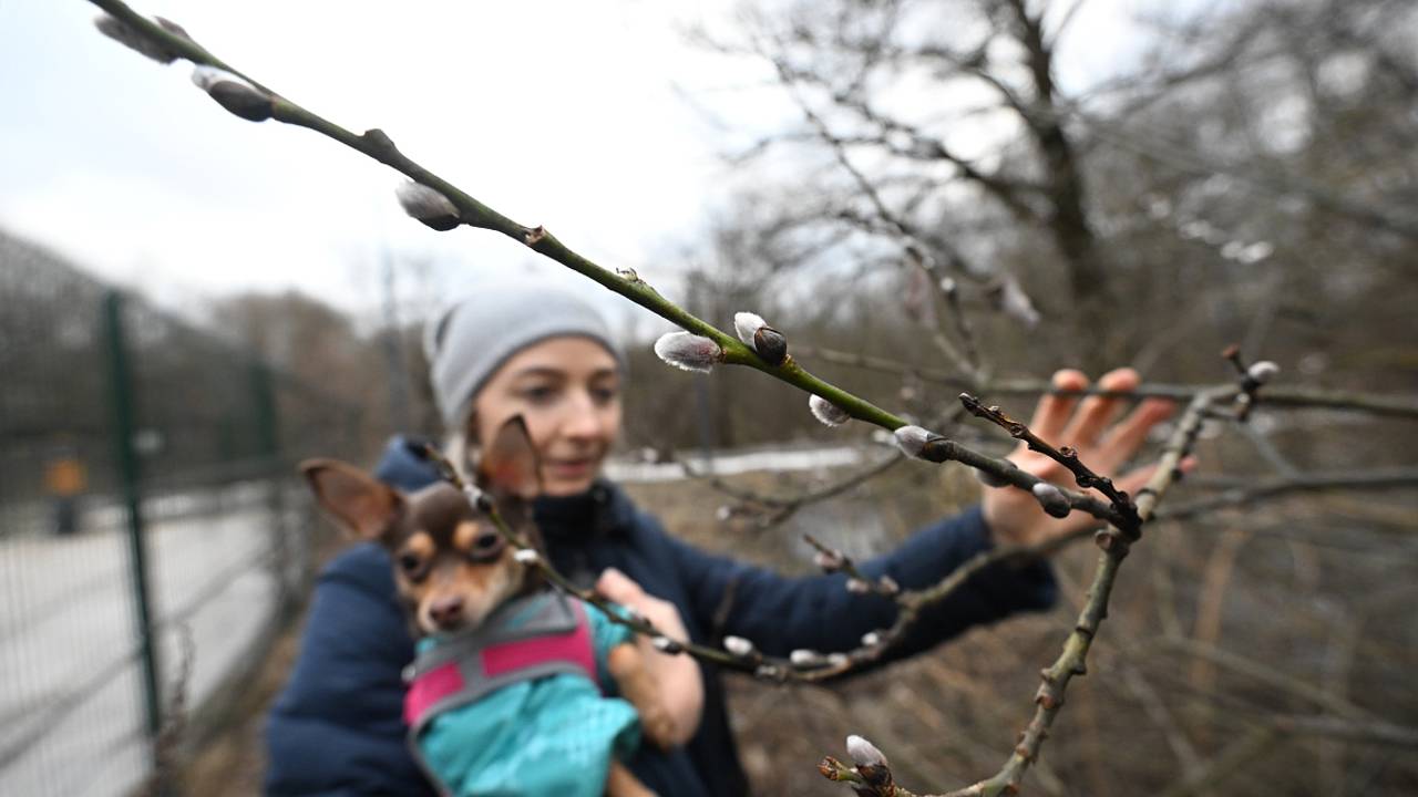 Москвичей предупредили об аномально теплой весне