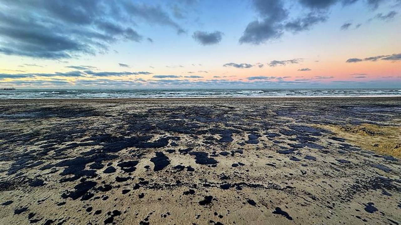 Новые выбросы мазута обнаружили в российском регионе