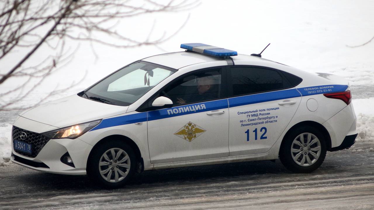 Чемоданы с расчлененкой нашли в Петербурге