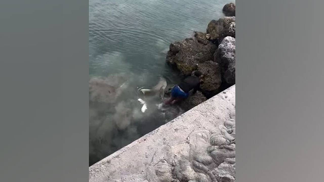 Мужчина едва спасся от акулы и попал на видео