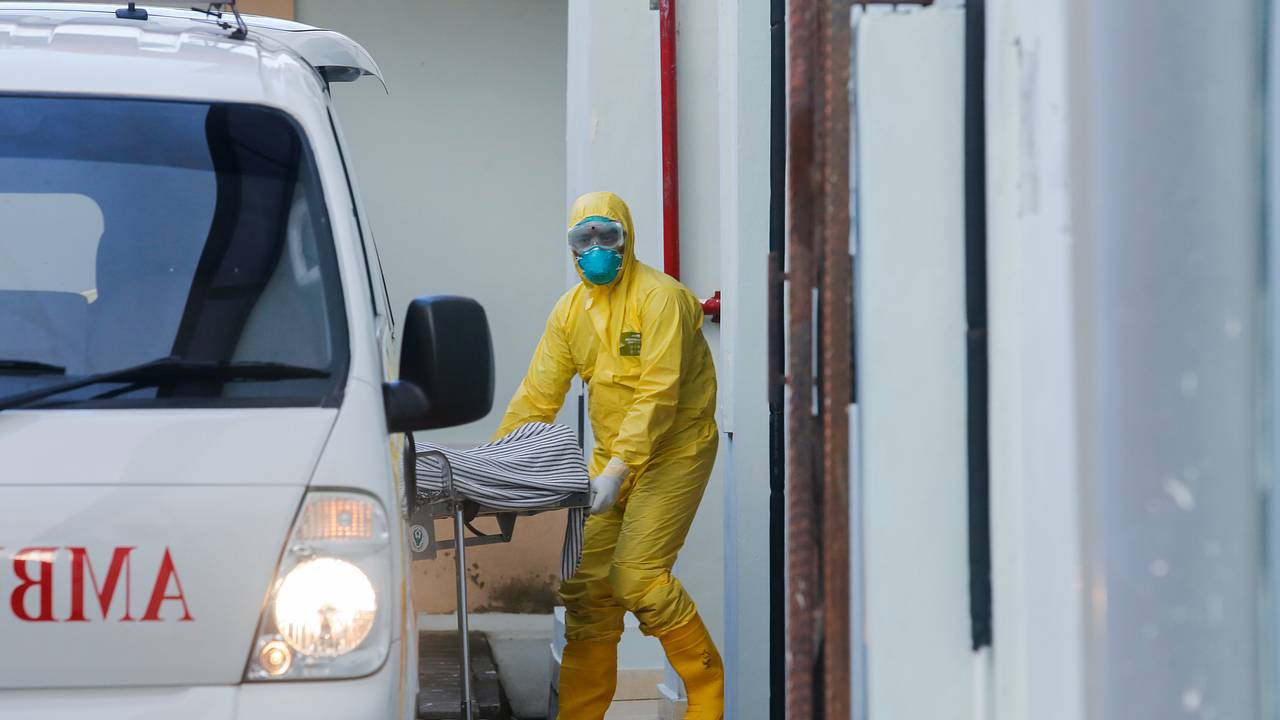 Десятки россиян заболели опасной для жизни лихорадкой на Бали