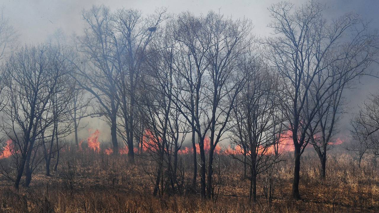 Природные пожары охватили тысячи гектаров в российском регионе