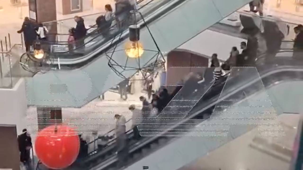 Стало известно о стрельбе в ТЦ под Москвой