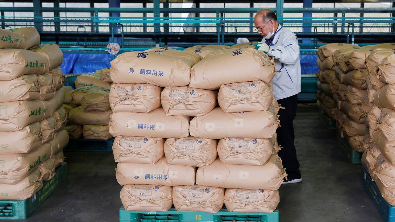 В Японии рассказали об ожиданиях от продажи госзапасов риса на аукционах