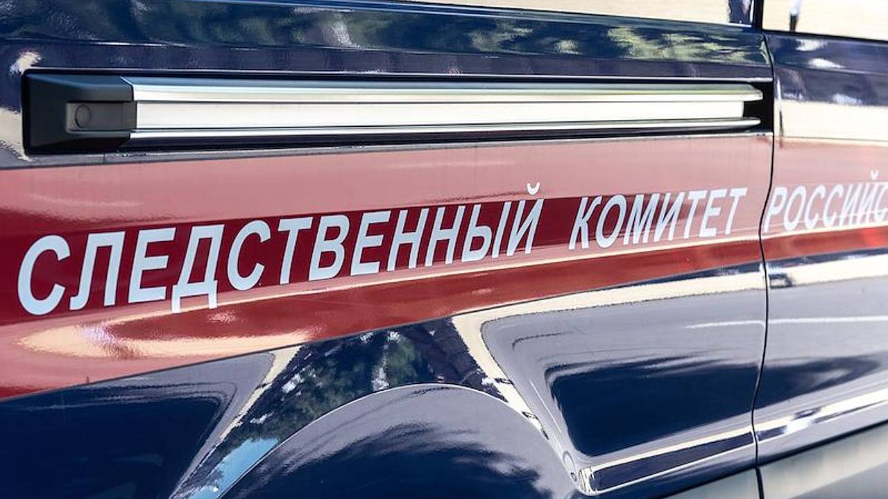 Российскую семью с 10 детьми оставили без жилья