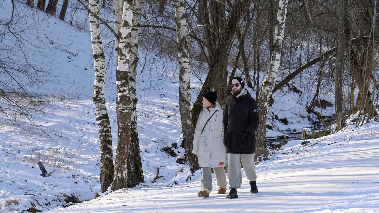 Ряду российских регионов пообещали десятиградусное тепло