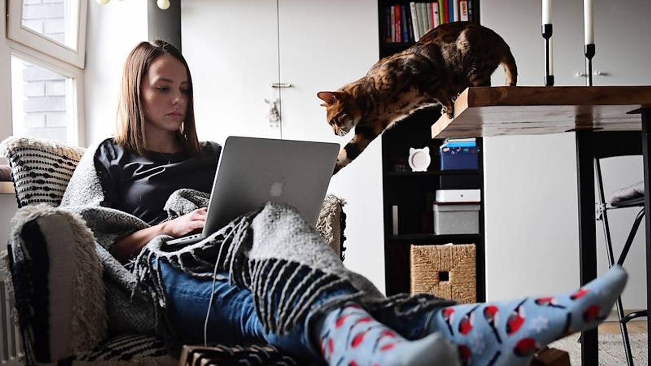 Россиян предостерегли от работы дома