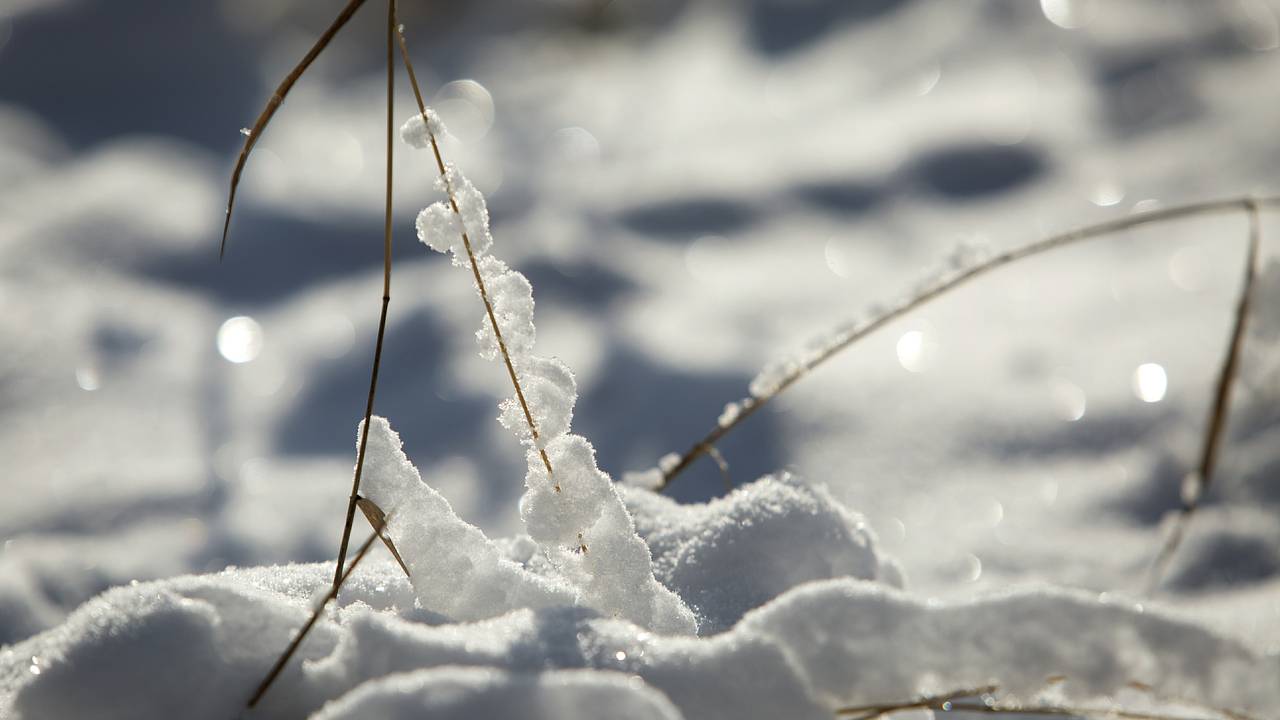 Часть россиян предупредили о 40-градусных морозах