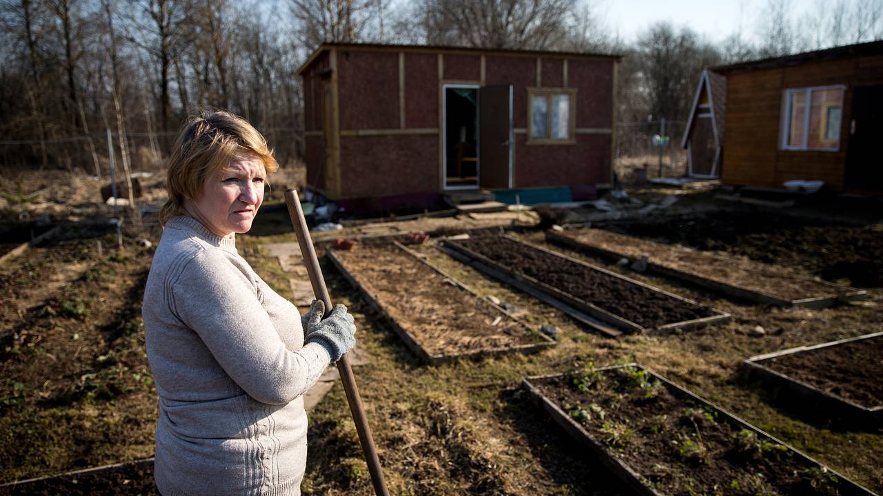 Россиян предупредили о дачных штрафах в 2025 году