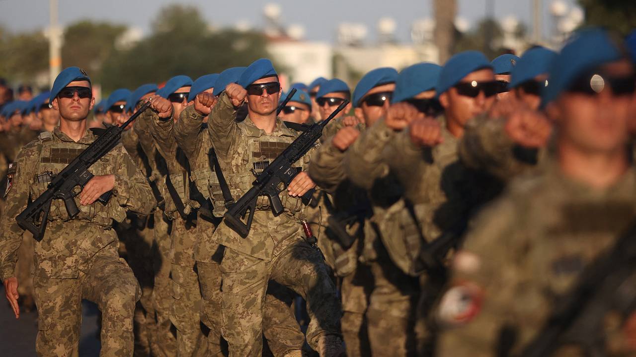 Турция рассмотрит отправку миротворцев на Украину