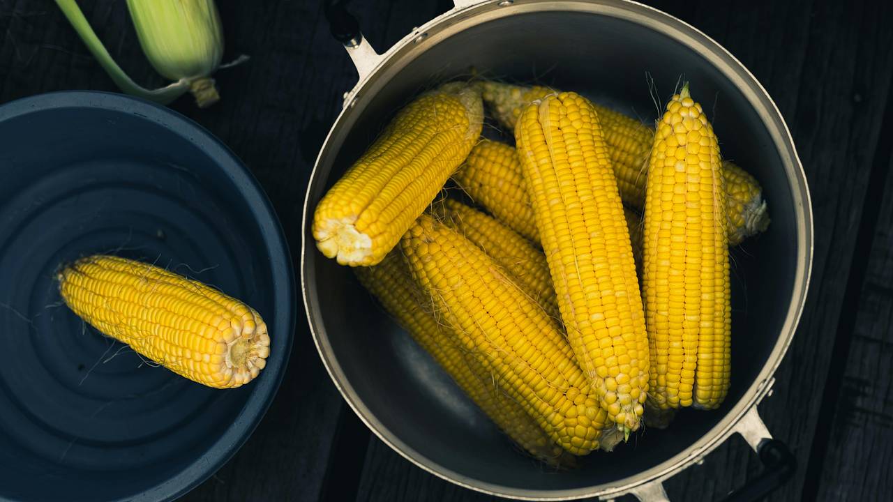 Россиянам назвали защищающий от многих видов рака продукт