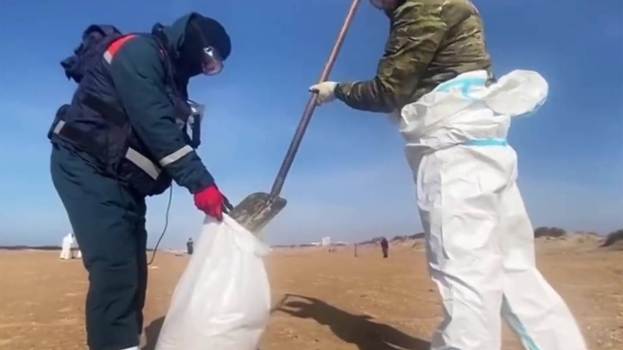 На Кубани участились выбросы мазута на фоне потепления