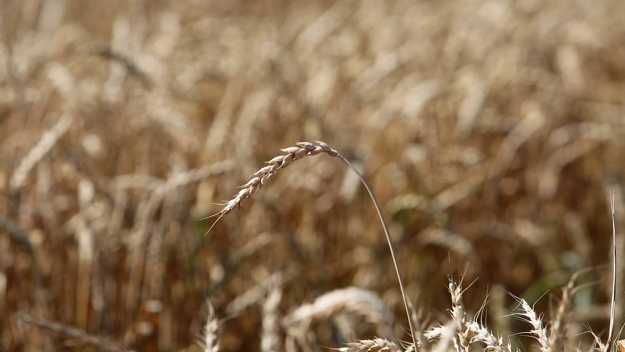 Назван плюс глобального потепления для России