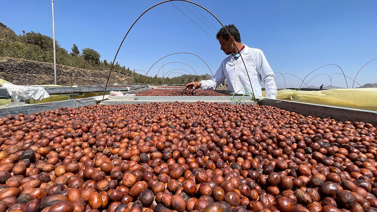 Мировая торговля кофе практически парализована. Что произошло и чем это грозит?