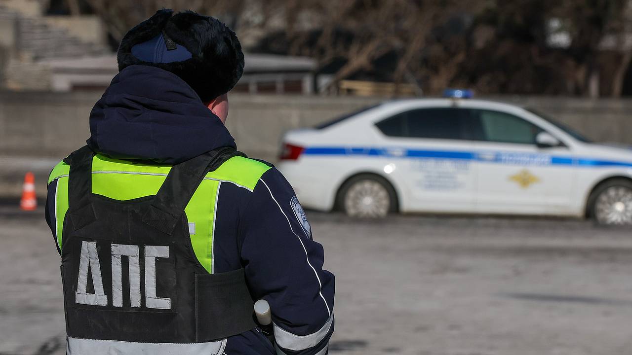 В российском селе полицейские остановили авто с пьяной матерью за рулем и детьми