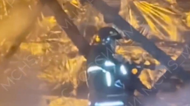 В Подмосковье при пожаре в тепличном комплексе погибли четыре человека