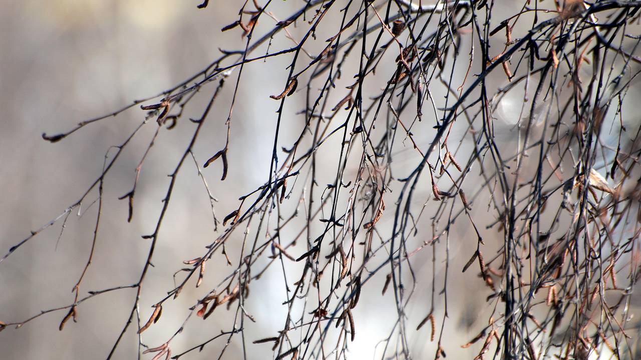 Часть россиян предупредили об экстремальной погоде