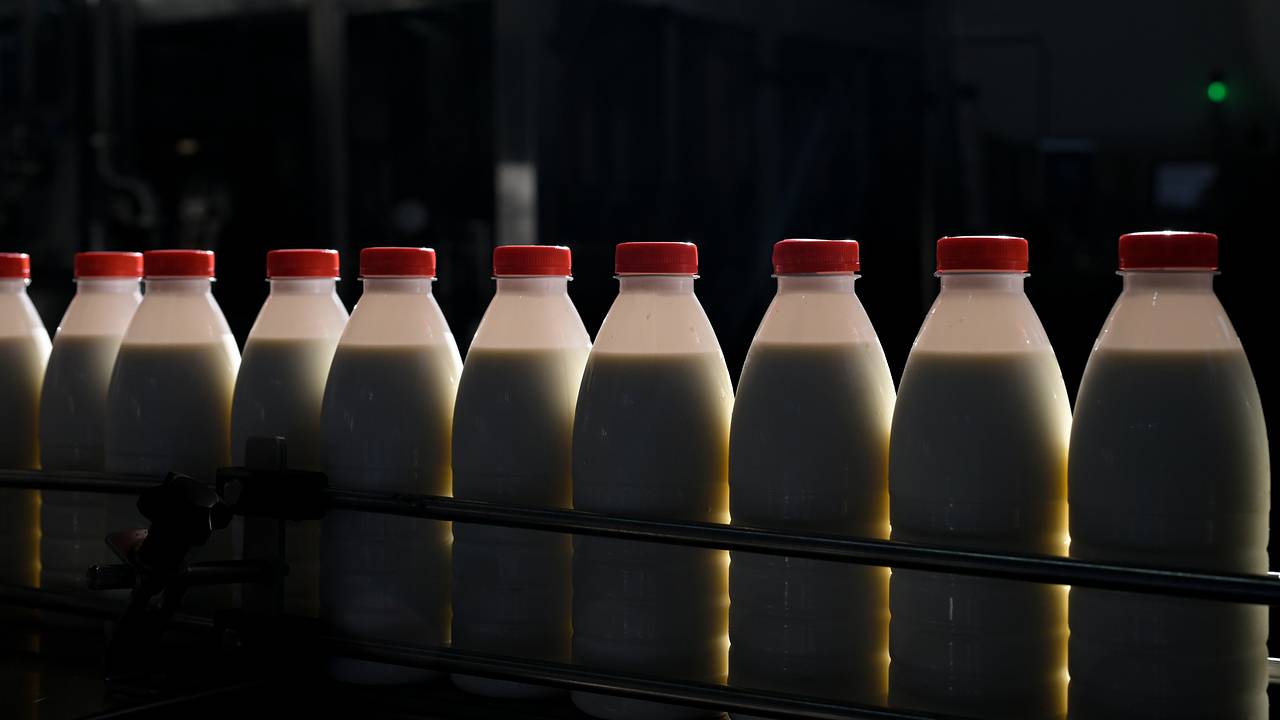 В России резко выросли продажи безлактозного молока