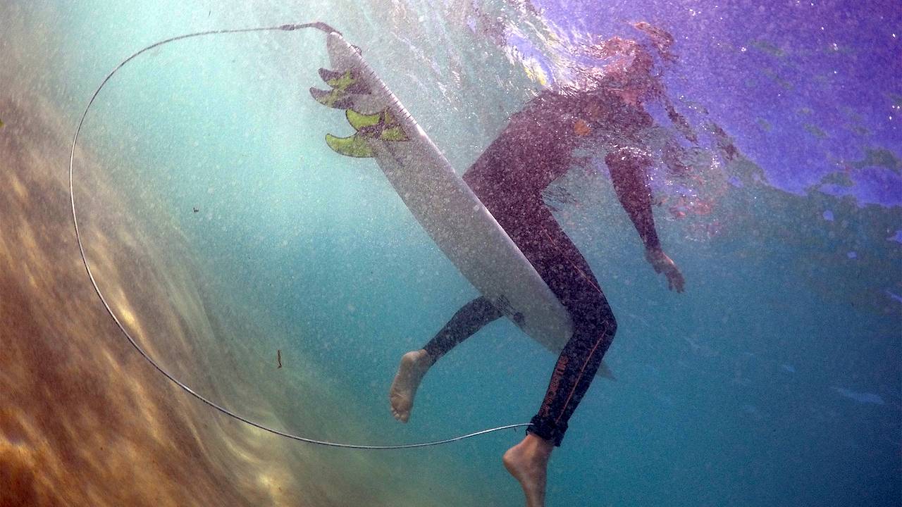 Крупная акула утащила мужчину на глубину на глазах посетителей пляжа