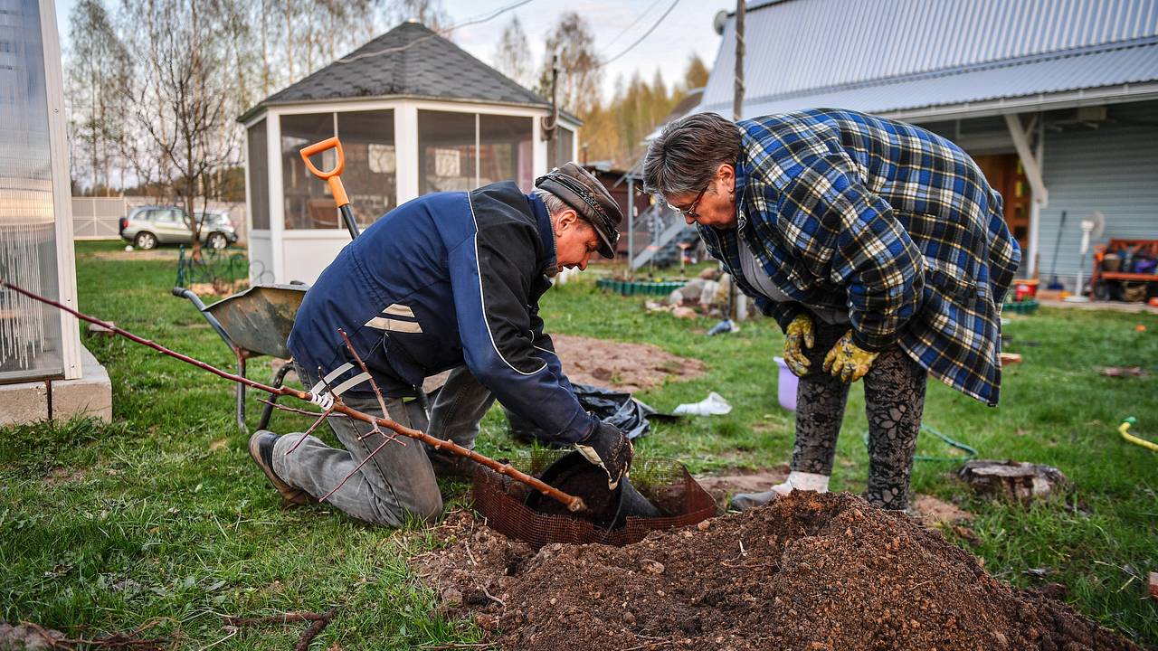 Россиянам рассказали про налоги за сараи и дачные туалеты