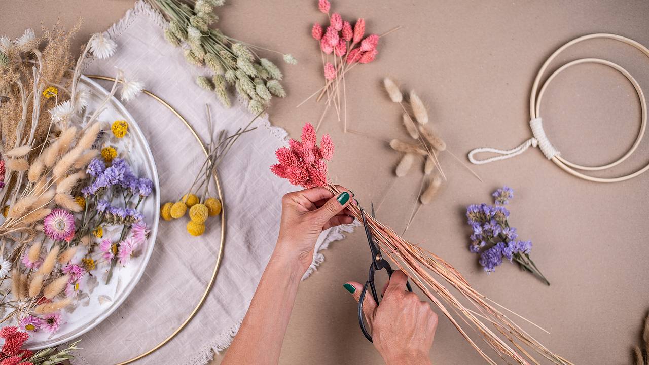 Россиянок призвали срочно развесить засохшие цветы по квартире