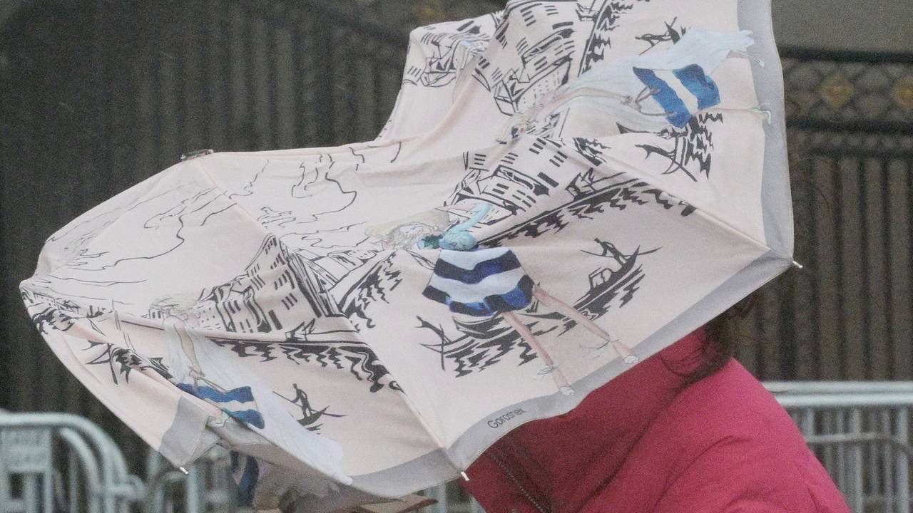 Москву накроет штормовая погода