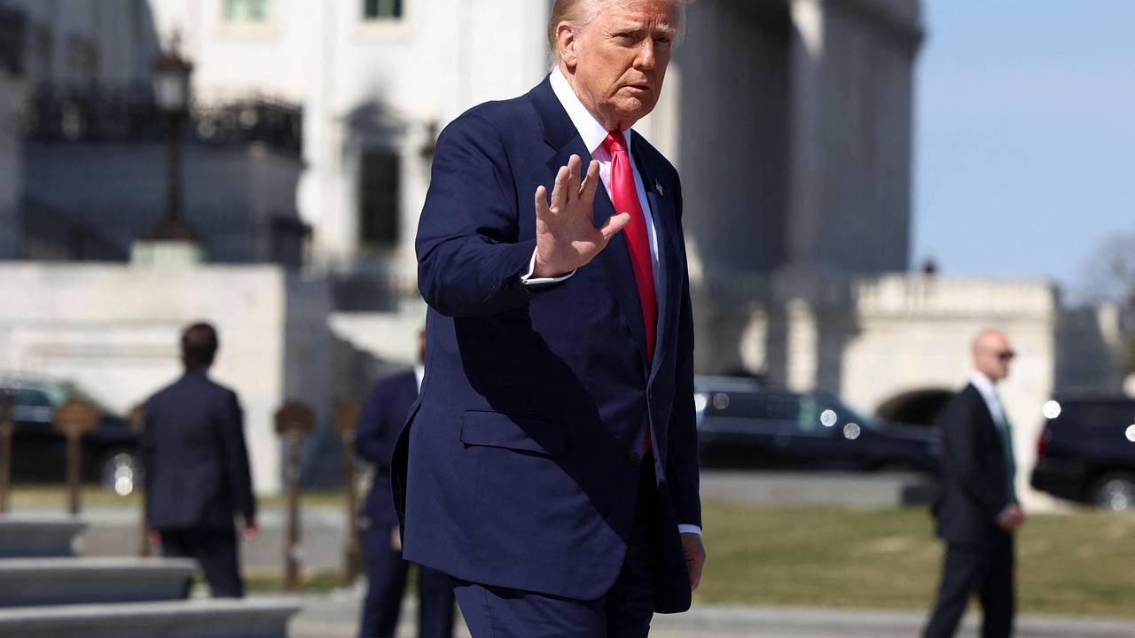 Трамп отдал честь собакам