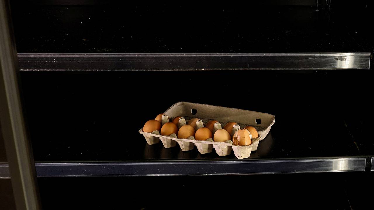 В Европе назвали причины рекордного подорожания яиц