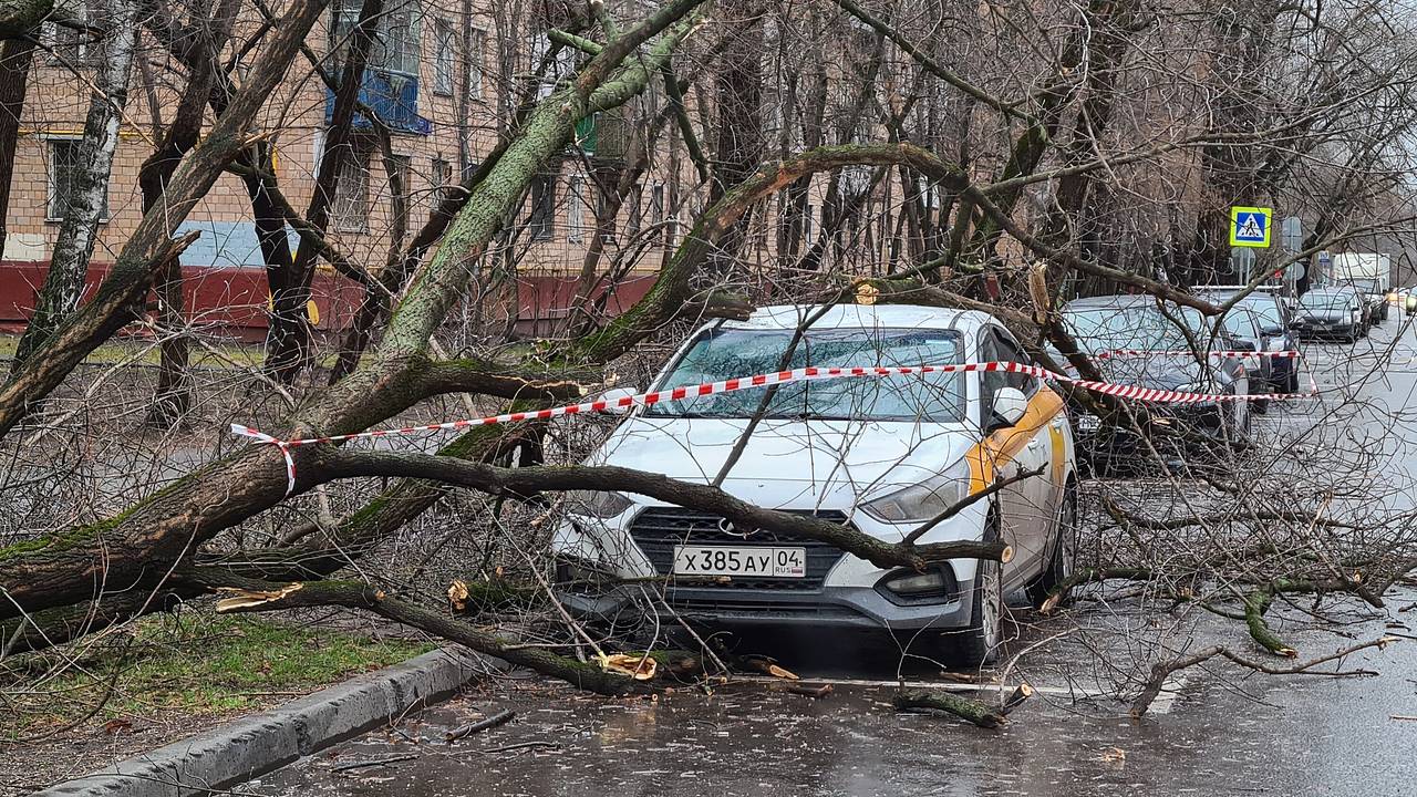 Московским водителям напомнили о мерах безопасности во время шторма
