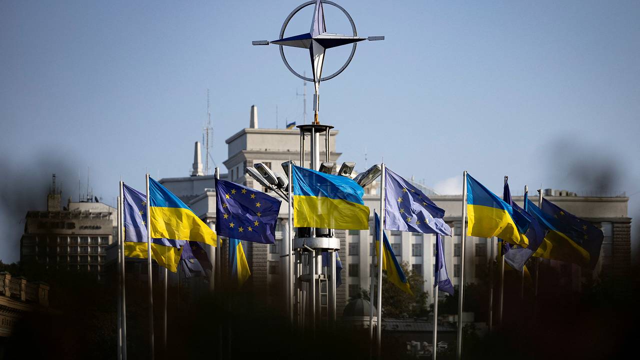 Курс Украины в НАТО назвали «скоропортящимся продуктом»