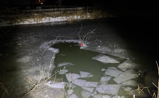В пруду в Новой Москве нашли тела двух детей
