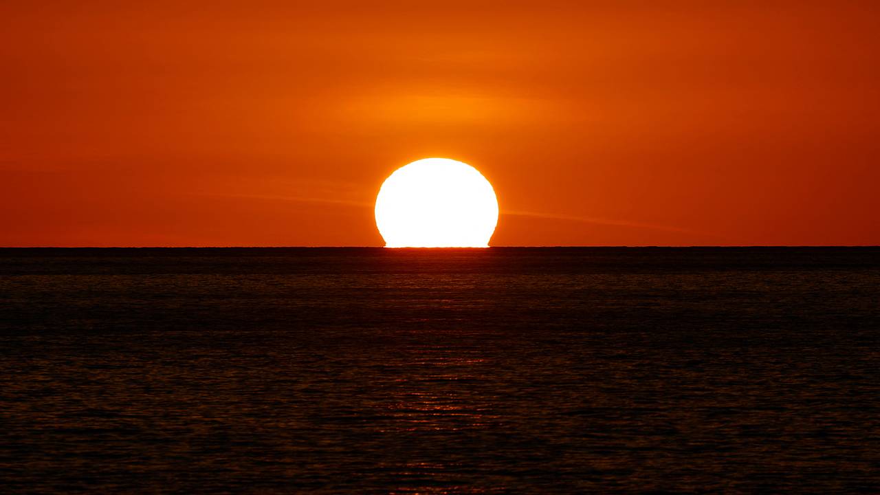 ООН раскрыла страшные последствия рекордных температур 2024 года