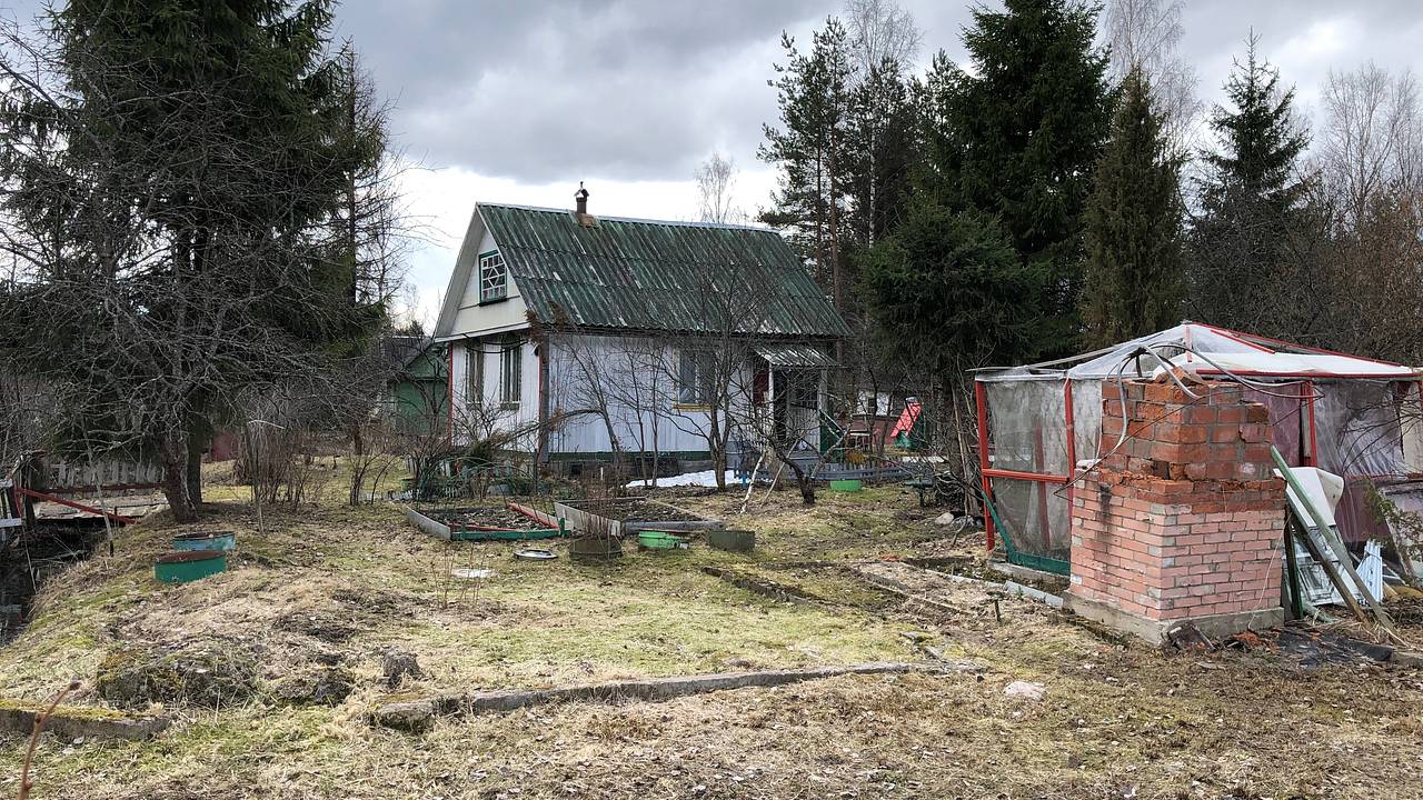 Дачников предупредили об опасных последствиях похолодания в Москве
