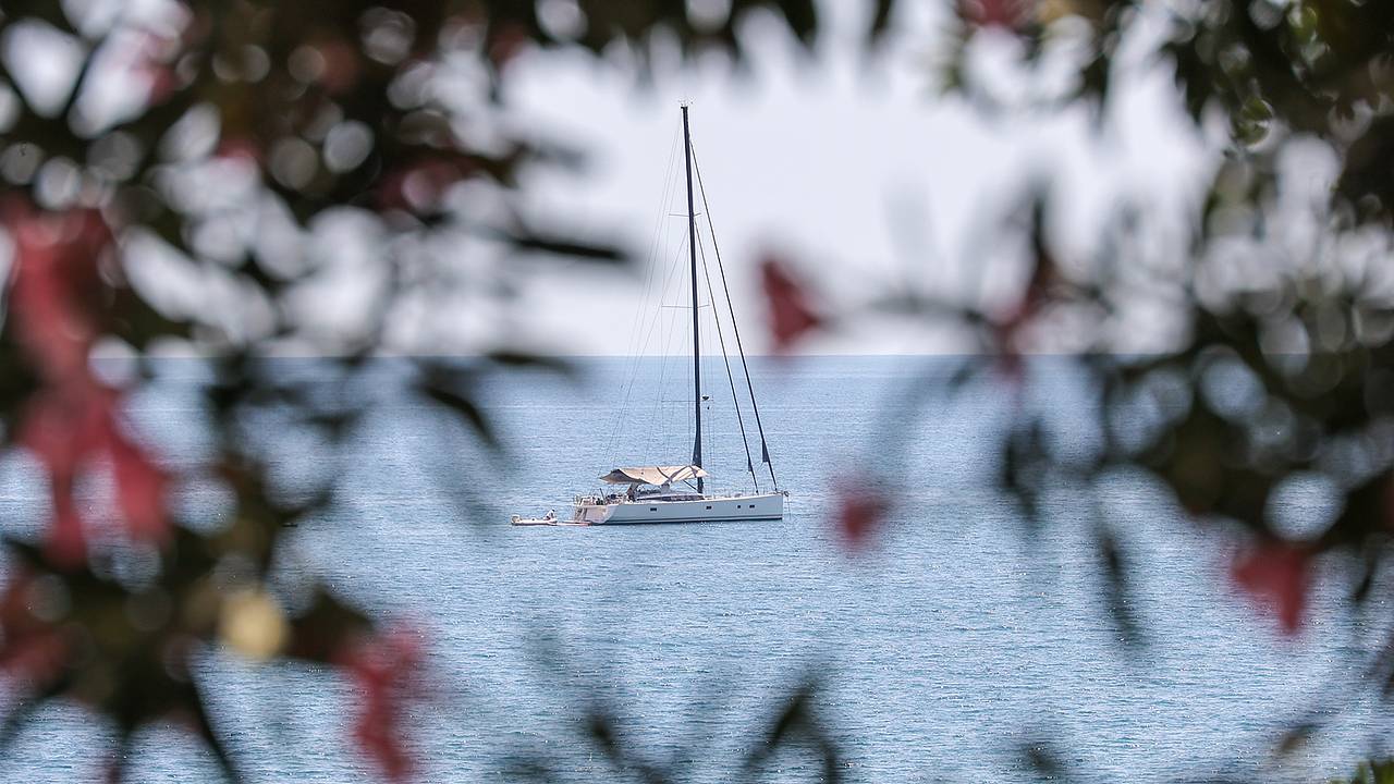 Раскрыта стоимость строительства круглогодичного морского курорта в Крыму