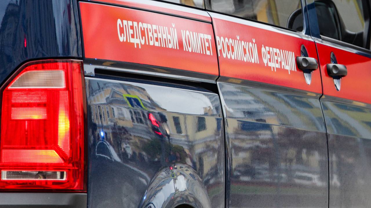 Москвичка избила детей на площадке и попала на видео