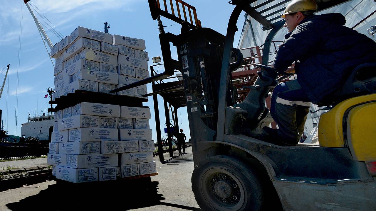 Инфраструктуру Дальнего Востока задумали развивать за счет нового транзитного сбора