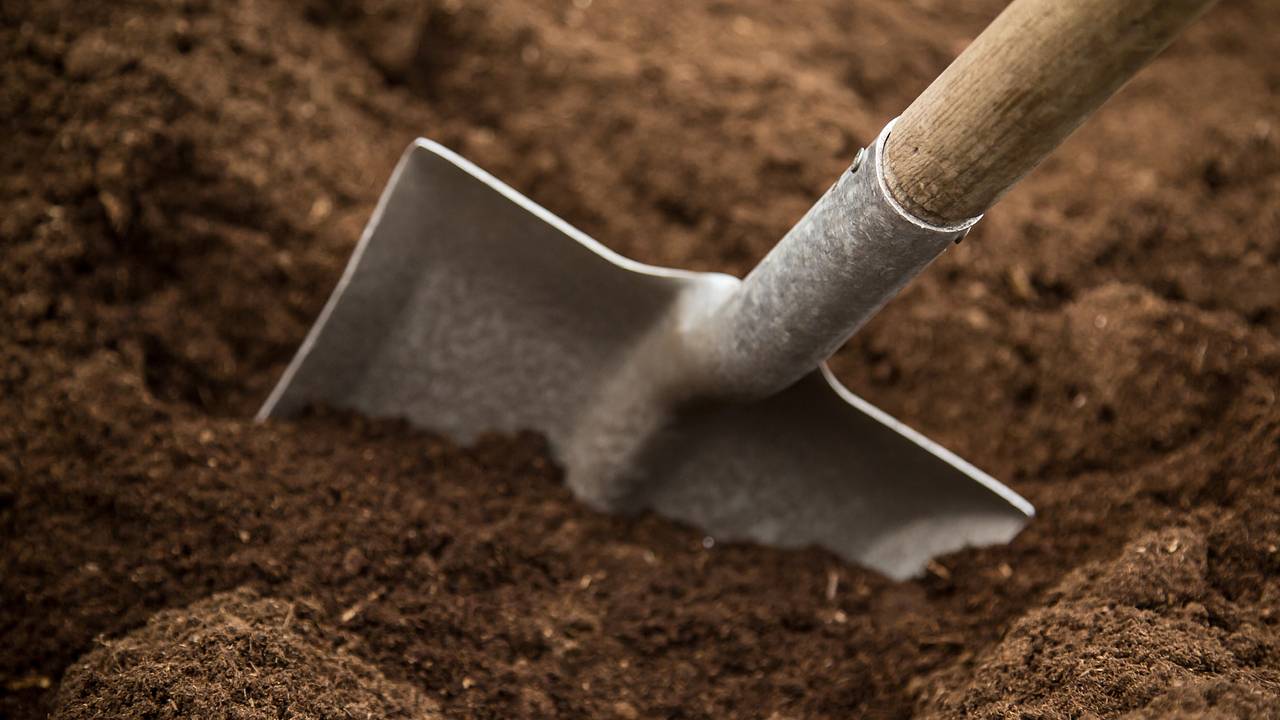 Мужчина нашел клад по нарисованной отцом карте