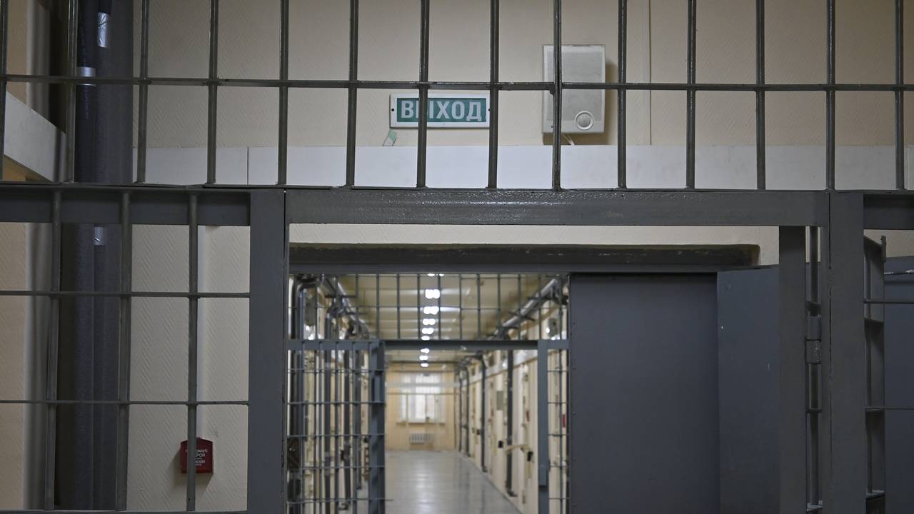 Россиянин домогался несовершеннолетних родственников и получил 20 лет колонии