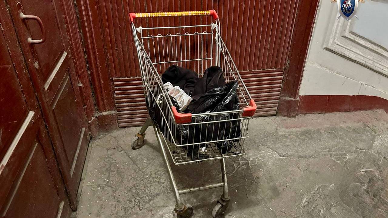В Петербурге задержали перевозившего в продуктовой тележке части женского тела мужчину
