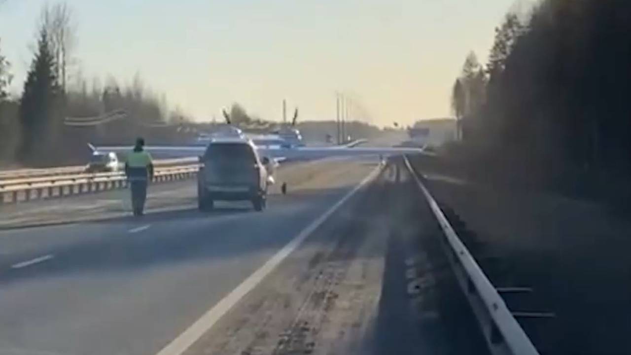 Названа причина аварии с севшим на российской трассе самолетом